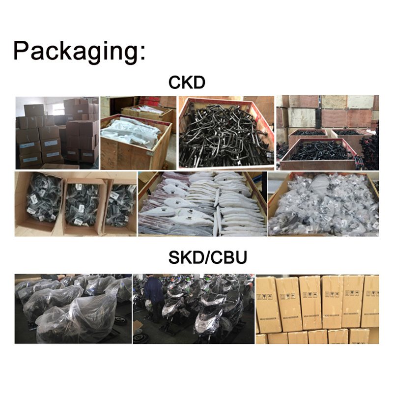 1000W CKD Electric Vehicles Adult Scooters with Lithium Battery