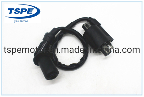Motorcycle Parts Motorcycle Ignition Coil for ATV-150