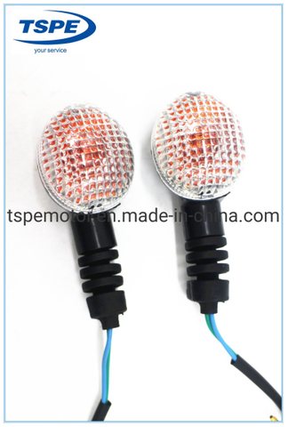 Motorcycle Accessories Motorcycle Turning Light Dm-150 Italika