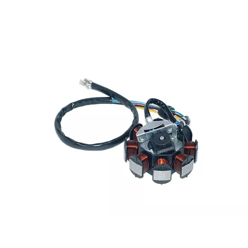 Motorcycle Parts Motorcycle Stator Magneto Coil for Dt-150