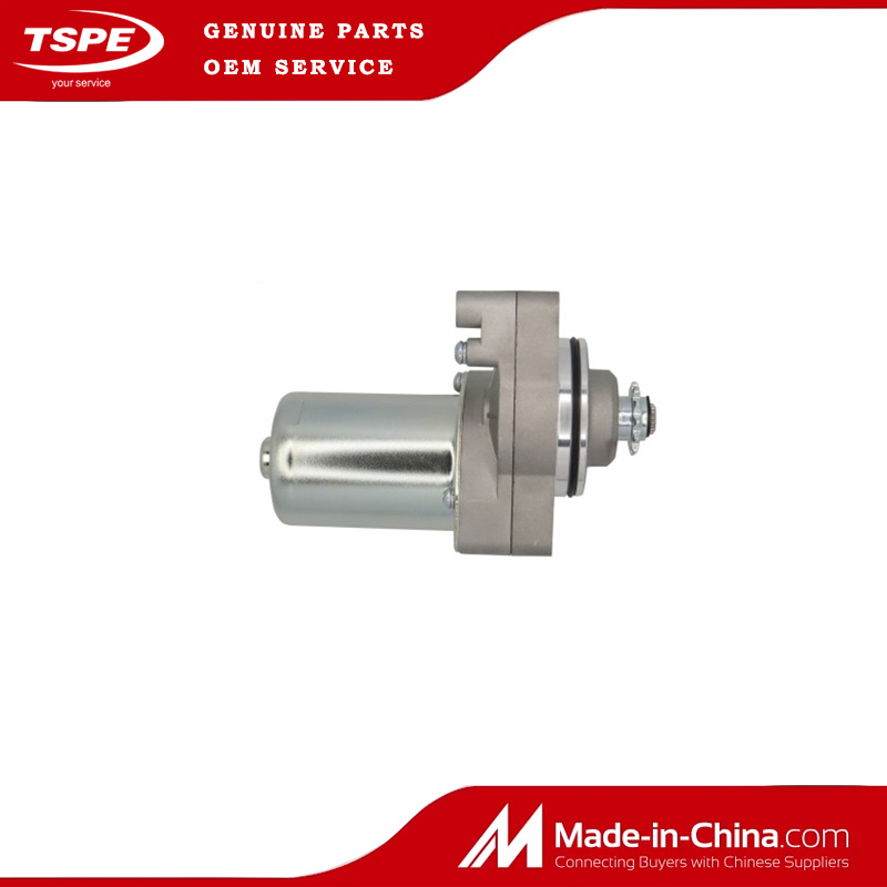 Motorcycle Parts Motorcycle Starter Motor for Akt110
