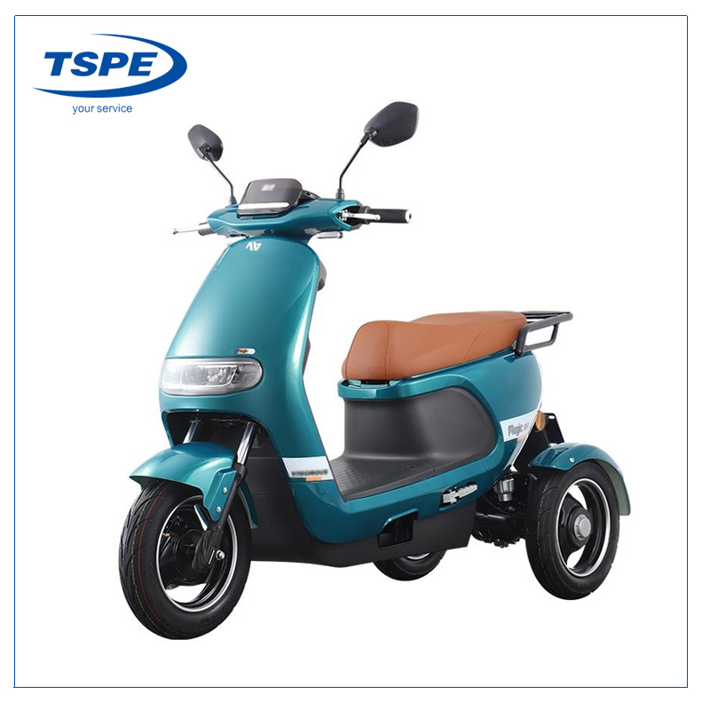Electric Motorcycle Three Wheel New Model Tricycle