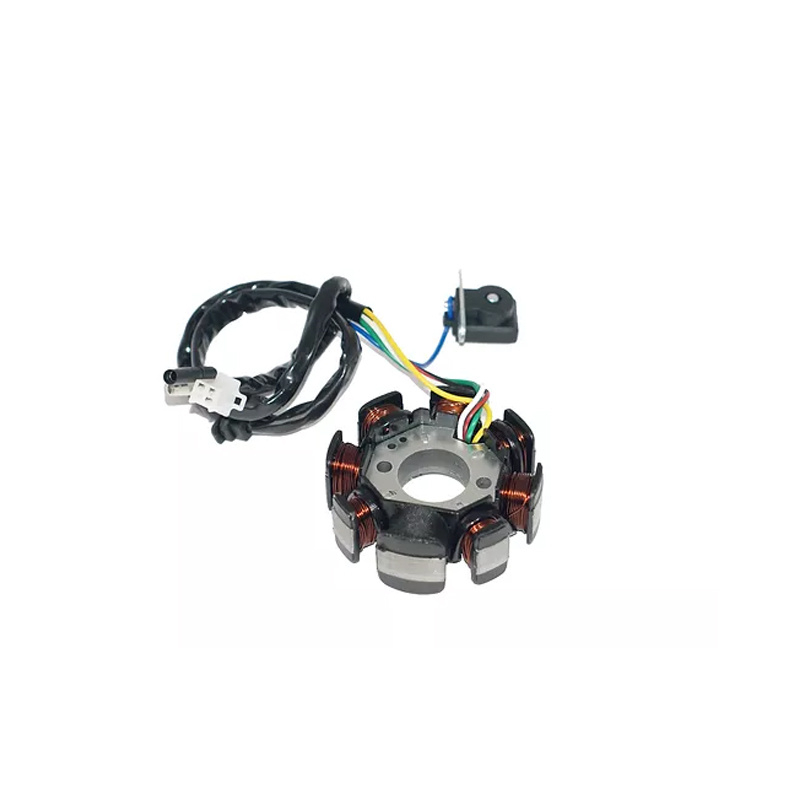Motorcycle Parts Motorcycle Stator Magneto Coil for Ds-125